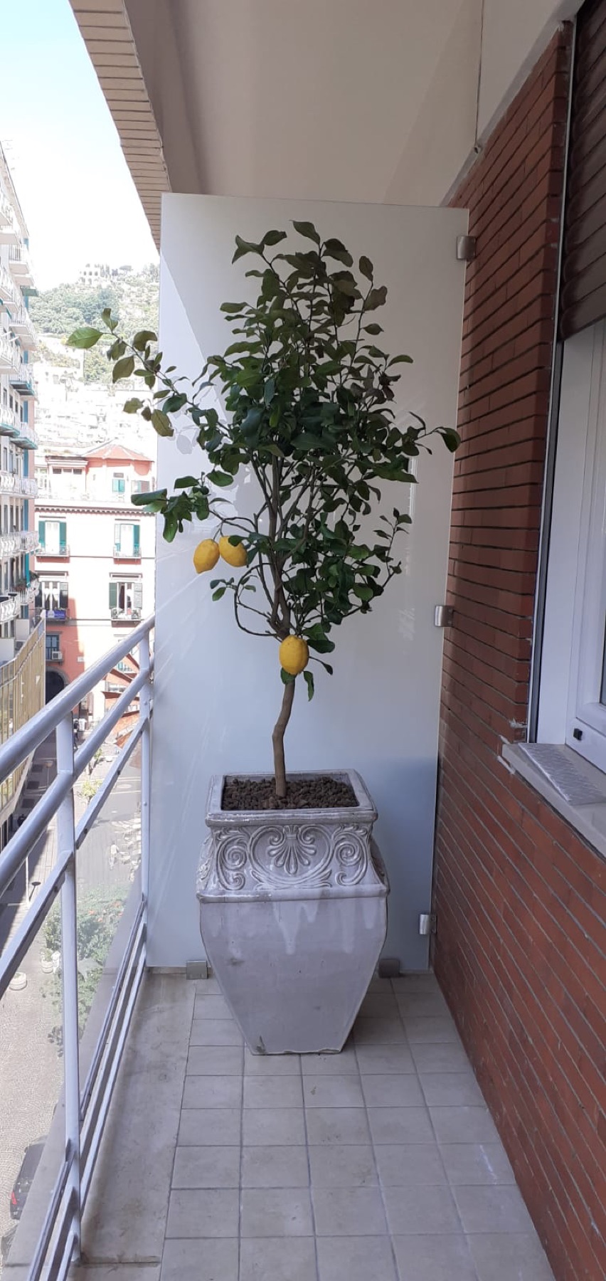 Allestimento con vasi e fioriere Faraone Vasi a Napoli - progetto 10