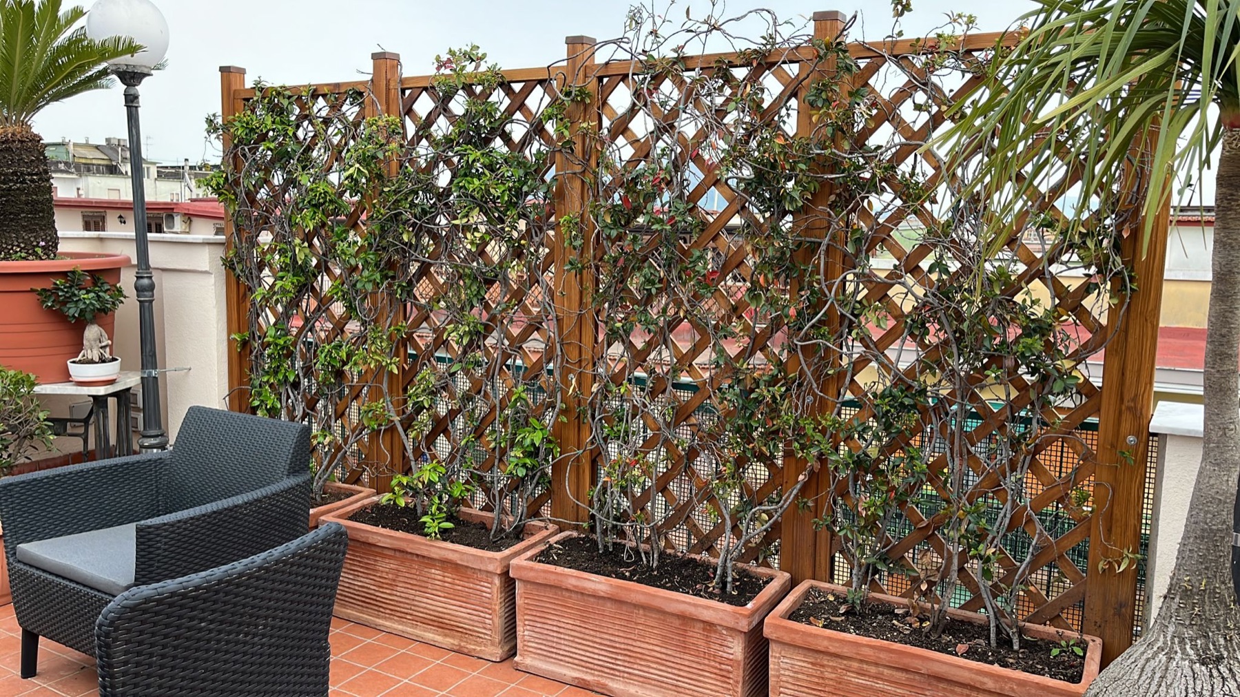 Allestimento con vasi e fioriere Faraone Vasi a Napoli - progetto 12