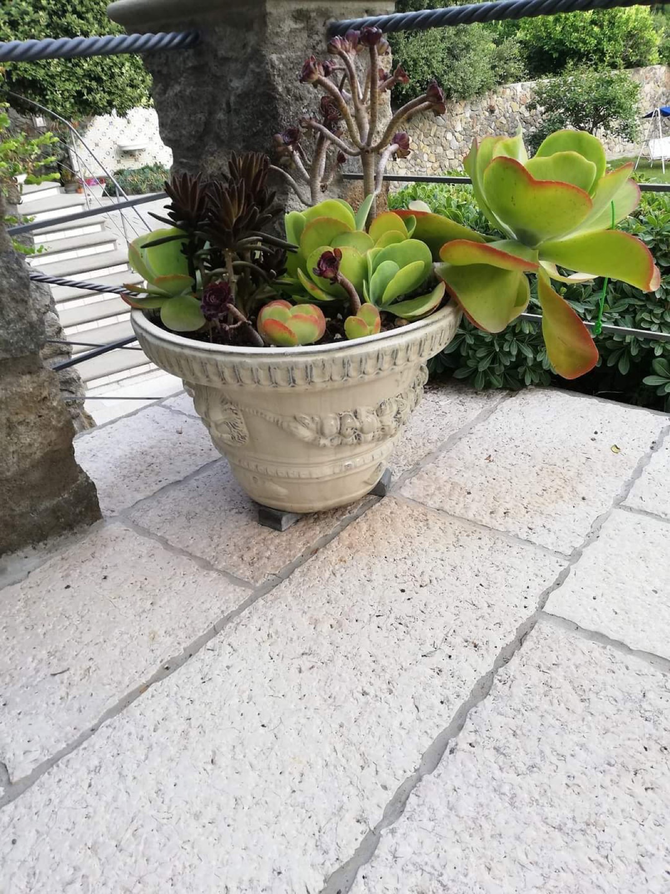 Allestimento con vasi e fioriere Faraone Vasi a Napoli - progetto 16