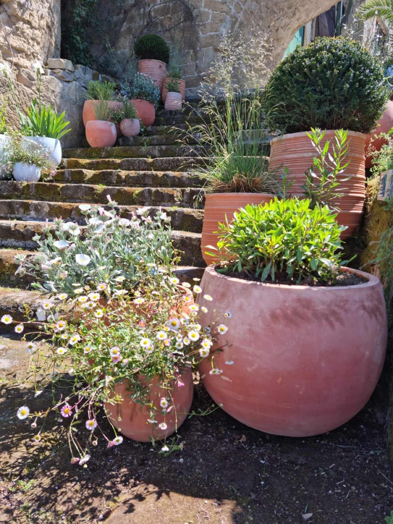 Allestimento con vasi e fioriere Faraone Vasi a Napoli - progetto 5