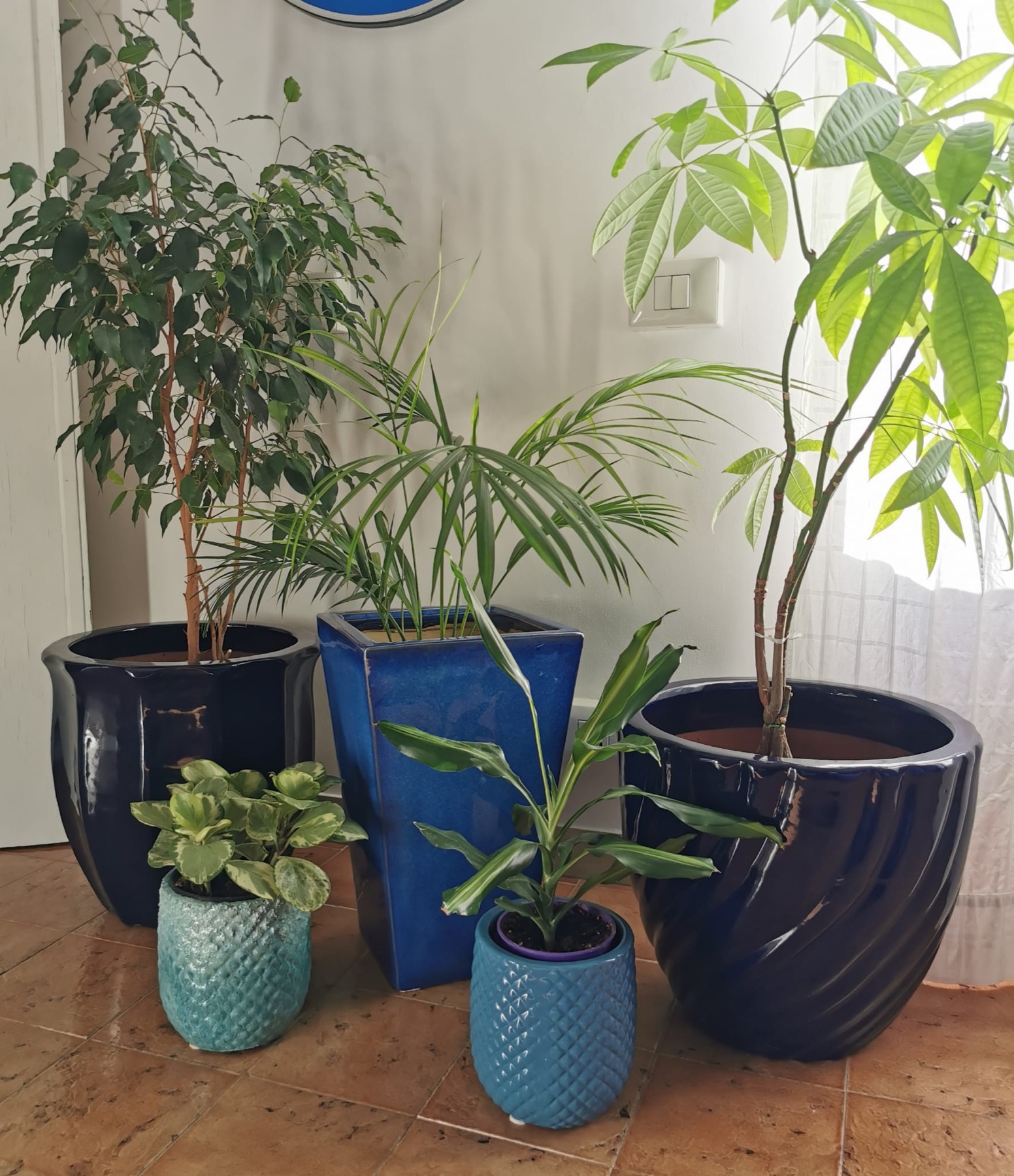 Allestimento con vasi e fioriere Faraone Vasi a Napoli - progetto 24