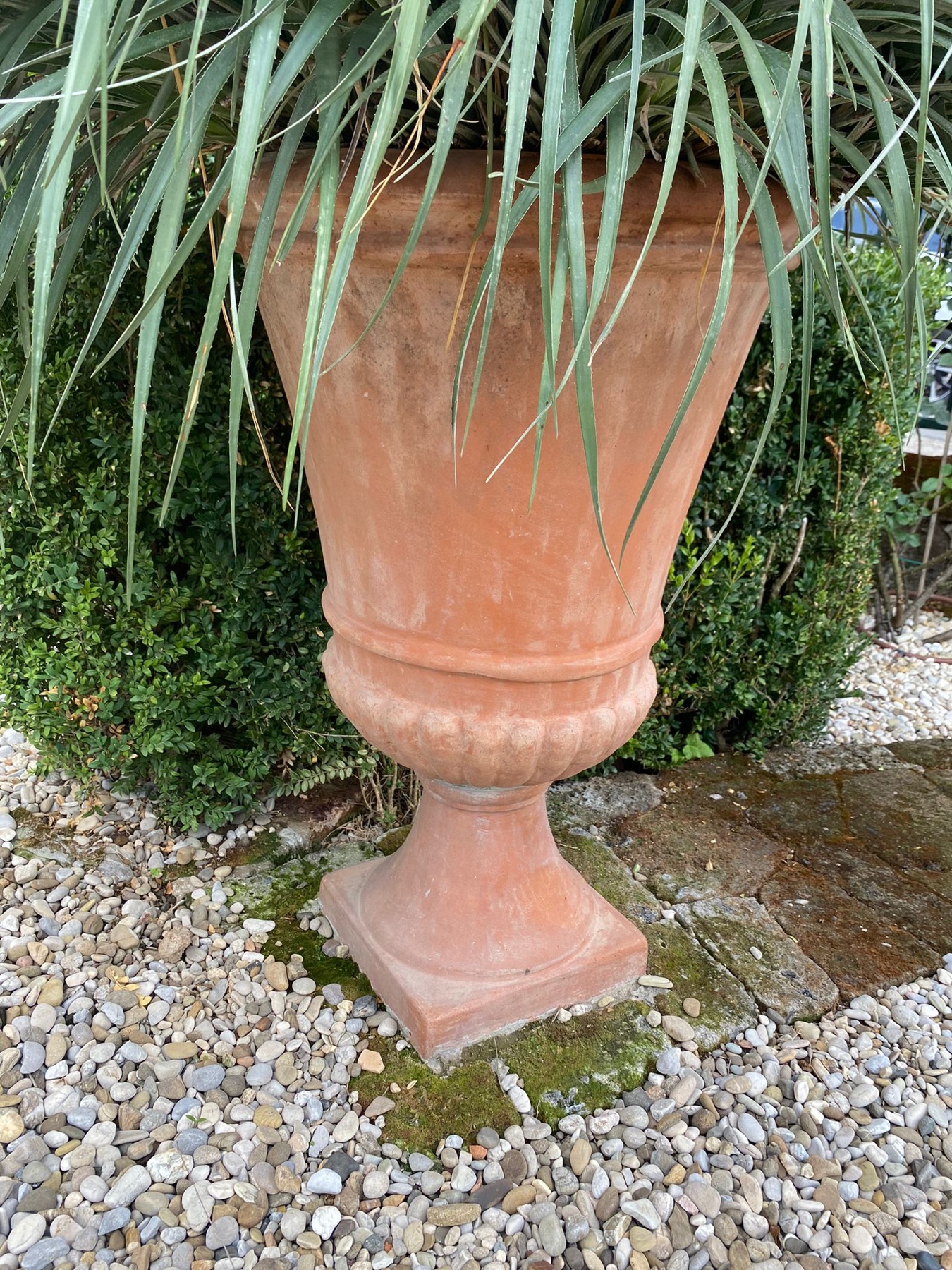 Allestimento con vasi e fioriere Faraone Vasi a Napoli - progetto 29