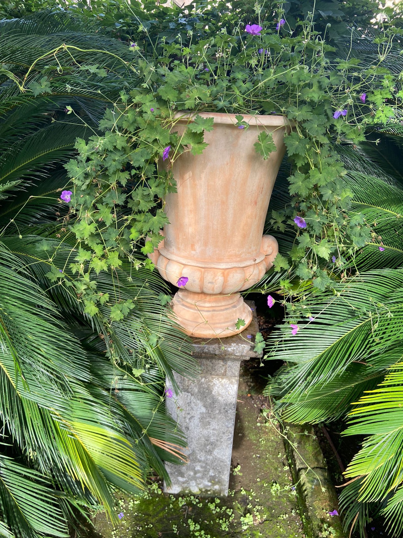 Allestimento con vasi e fioriere Faraone Vasi a Napoli - progetto 30