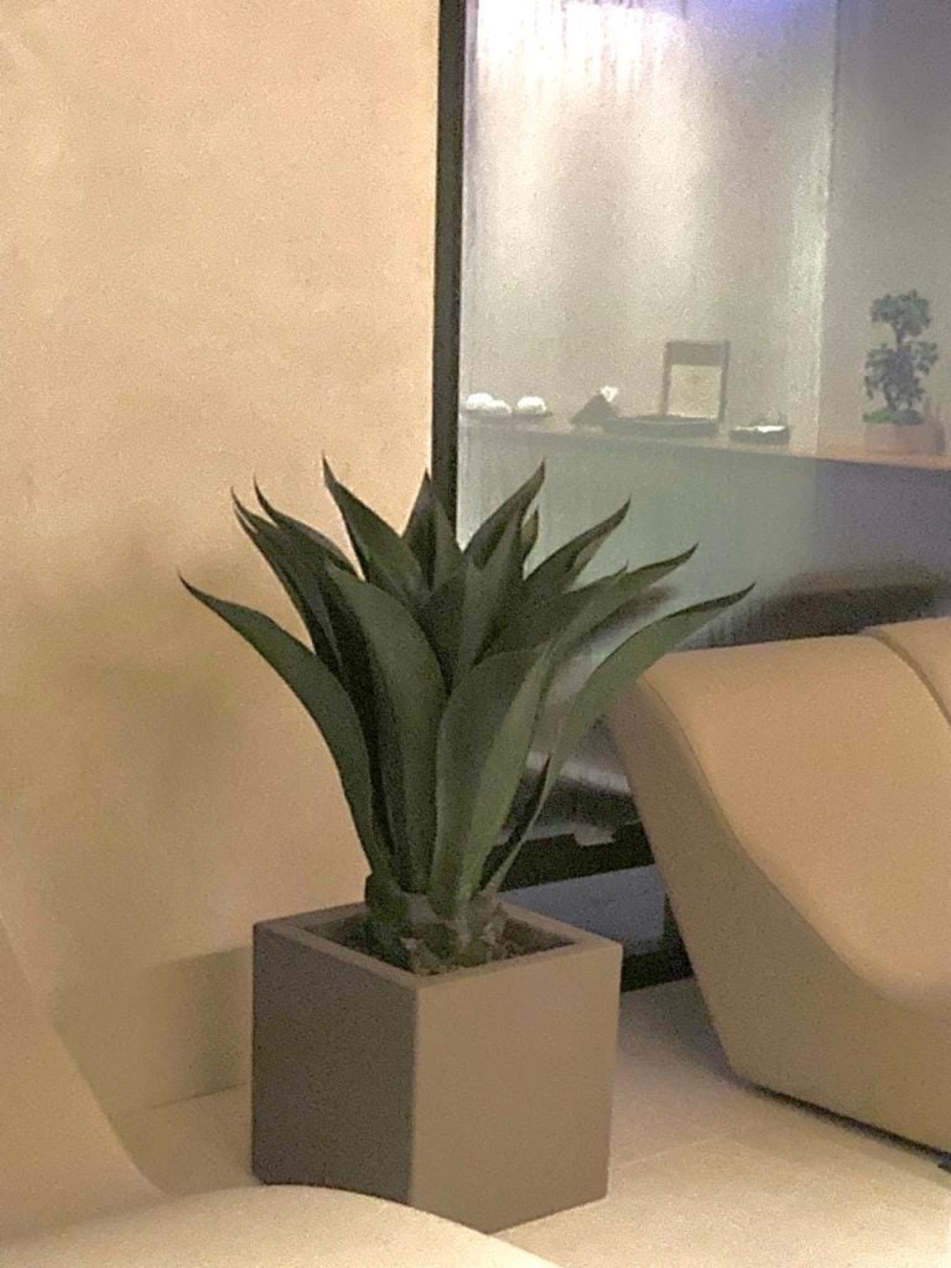 Allestimento con vasi e fioriere Faraone Vasi a Napoli - progetto 31